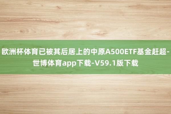 欧洲杯体育已被其后居上的中原A500ETF基金赶超-世博体育app下载-V59.1版下载